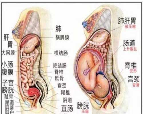 深圳代孕孩子包性别_吃什么蔬菜可以长胖