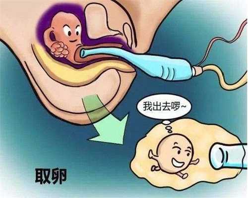 代孕产子包生男孩_跟孕妈一起分析早期孕吐原因