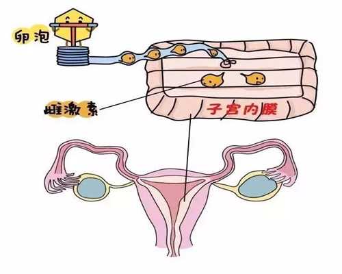 代孕成功率高不高_婴儿头皮血管瘤怎么办？