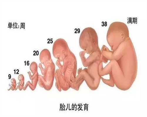 深圳做代孕的费用多少_深圳哪里找代孕女孩_aa69靠谱吗_去泰国做试管婴儿成功