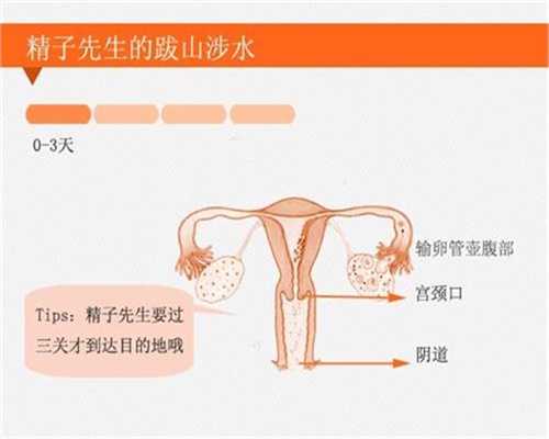 深圳最高产代孕妈妈_深圳有人做代孕吗_爱家国际助孕平台_女性卵巢功能低下，